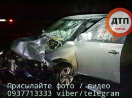 В Киеве на Троещине автомобилист врезался в столб