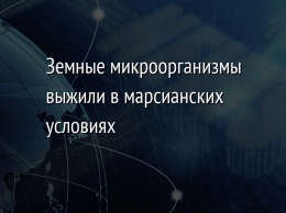 Земные микроорганизмы выжили в марсианских условиях