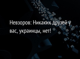 Невзоров: Никаких друзей у вас, украинцы, нет!