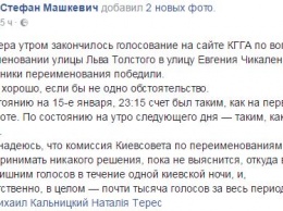 Сторонников переименования улицы Льва Толстого в Киеве подозревают в накрутке голосов