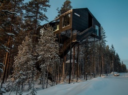 В унисон с природой: отель в лесу