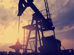 Страны ОПЕК обеспокоены новой тенденцией на нефтяных мировых рынках