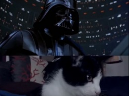 В пародии на «Звездные войны» сняли котов 