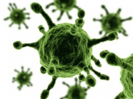 Ученые назвали три вируса, которые могут привести к глобальной катастрофе