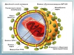 Медики: Не нужно бояться ВИЧ-инфицированных