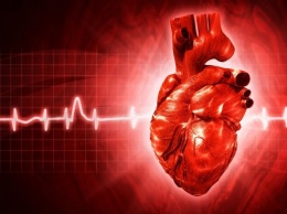 Ученые изобрели альтернативу пересадке сердца