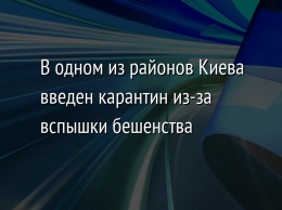 В одном из районов Киева введен карантин из-за вспышки бешенства