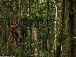 Амазонские охотники на обезьян: шокирующие фото из жизни племени Гуарани