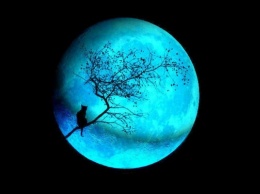 В пятницу можно будет наблюдать редкую "голубую Луну"