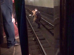 В московской подземке полицейский спас собаку, упавшую на рельсы