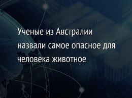 Ученые из Австралии назвали самое опасное для человека животное