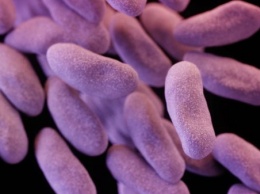 Ученые сделали огромный шаг с борьбе с супербактериями