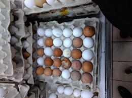 В одесских супермаркетах торгуют протухшими яйцами по уценке