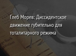 Глеб Морев: Диссидентское движение губительно для тоталитарного режима