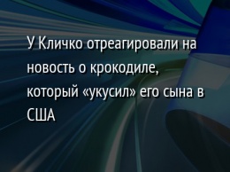 У Кличко отреагировали на новость о крокодиле, который «укусил» его сына в США