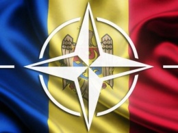 Офис НАТО в Кишиневе не угрожает нейтралитету Молдовы - спикер Канду