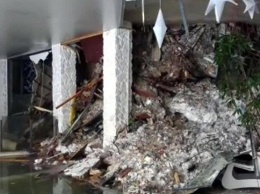 Лавина в Италии: спасатели достали из-под руин трех щенков