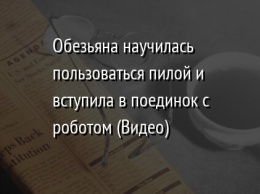 Обезьяна научилась пользоваться пилой и вступила в поединок с роботом (Видео)