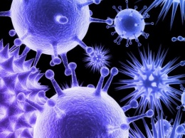 Ученые: Вирусы могут «общаться» друг с другом