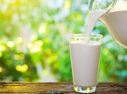 Эксперты: Овечье молоко может стать новым молочным продуктом