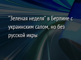 "Зеленая неделя" в Берлине с украинским салом, но без русской икры