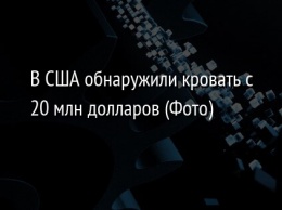 В США обнаружили кровать с 20 млн долларов (Фото)