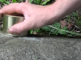 Как открыть консерву без ножа: интересный лайфхак (видео)