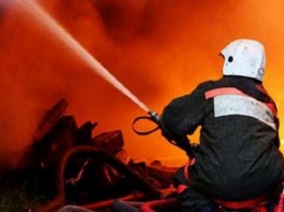В Житомирской области при пожаре в частном доме погибла женщина