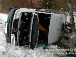 В результате опрокидывания рейсового автобуса в Тернопольской области пострадали 20 человек