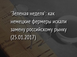 'Зеленая неделя': как немецкие фермеры искали замену российскому рынку (25.01.2017)