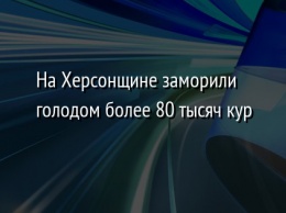 На Херсонщине заморили голодом более 80 тысяч кур