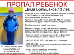 В Запорожье пропал 13-летний подросток (ФОТО)