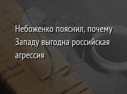 Небоженко пояснил, почему Западу выгодна российская агрессия