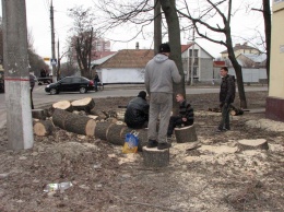 Советник Сенкевича: Патрульным следует отличать официальных подрядчиков от «деревянных пиратов»