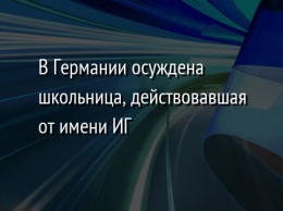 В Германии осуждена школьница, действовавшая от имени ИГ