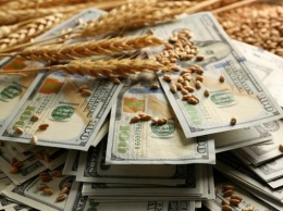 Чиновники "Зерновой корпорации" вывели в тень 300 млн грн