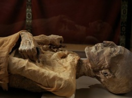 Ученые сделали томографию мумиям из Эрмитажа
