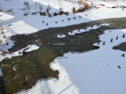 В реке Остер Козелецкого района превышены нормы железа и нитритов, - экологи