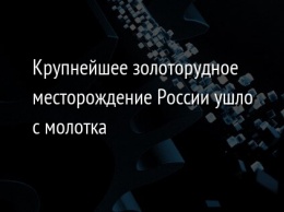 Крупнейшее золоторудное месторождение России ушло с молотка