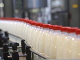 Россельхознадзор: в 22,5% молока и 45% мяса в Крыму выявлен фальсификат