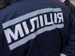 В Славянске сотрудники милиции изъяли посылку с боеприпасами