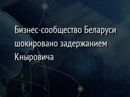 Бизнес-сообщество Беларуси шокировано задержанием Кныровича