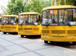 В Каменском планируют утвердить программу "Школьный автобус"