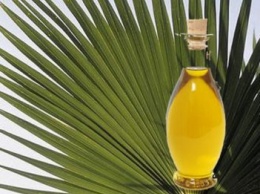 Индонезия подняла экспортные пошлины на пальмовое масло в 6 раз