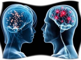 Специалисты: У некоторых мужчин есть "женская" часть мозга?