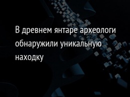 В древнем янтаре археологи обнаружили уникальную находку