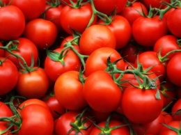 Ученые возвратили помидорам потерянный вкус и запах