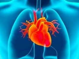5 симптомов заболевания сердца: пройдите осмотр!
