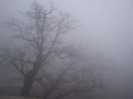 Город Соликамск в Пермском крае окутал густой туман
