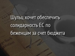 Шульц хочет обеспечить солидарность ЕС по беженцам за счет бюджета